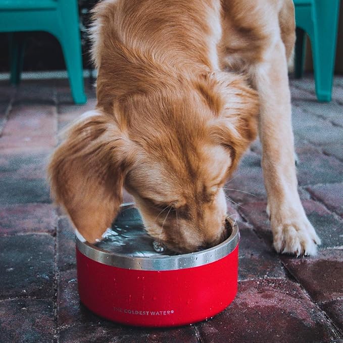Coldest Dog Bowl - Anti Rust Metal, Non Slip, 3 Layers Insulated Stainless Steel Dog Bowls - Spill Proof & Heavy Duty - Water Bowl for Dogs, Cats & Pets, Dish Washer Safe (42 oz, Terraform Green)
