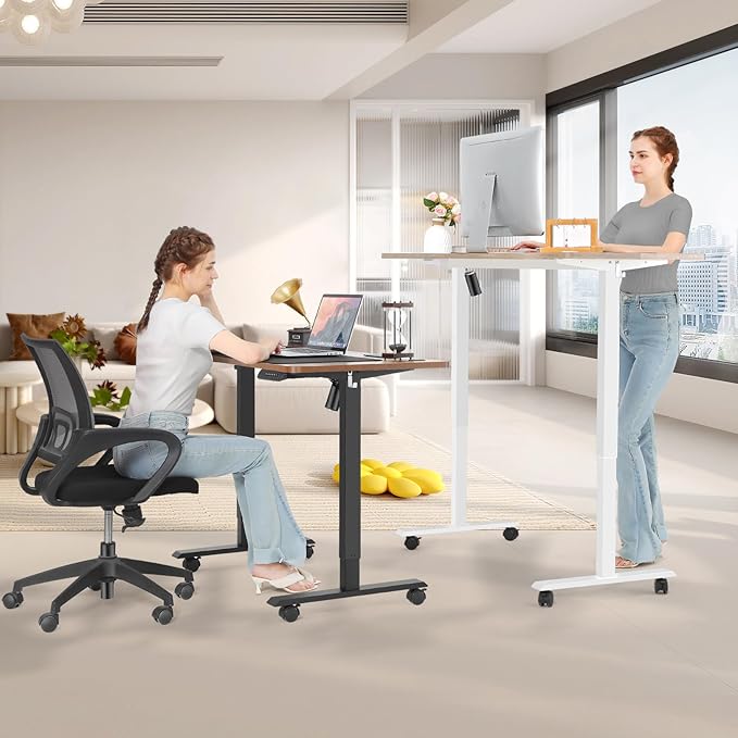 Electric Standing Adjustable Height Desk 48'' x 24''Sit Stand Desk with Charging Station, 2 USB Ports, 3 Power Outlets, 27''-46'' Lifting Range Computer Workstations(Oak)