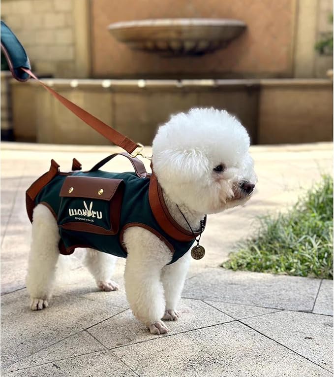 Dog Lift Harness Dog Carrier Dog VES Harness Adjustable Dog Leash with Small Puppy Treat Bag（Green,S）
