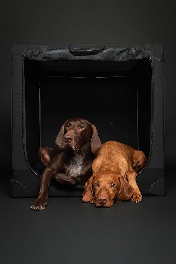 Noah & Paw Collapsible Dog Crate 42 Inch, XXL Dog Crate for XXL, XL, Large Breeds, Travel Kennel for Car, Includes Pet Mat for Pet Cage, 2 Storage Pockets, Handbag, 10mm Locking Zippers 42 * 31 * 31