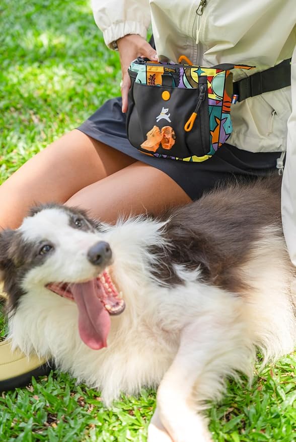 OllyDog Backcountry Day Bag | Hands-Free Dog Training Treat Pouch | Fanny/Hip Pack with Zipper Closure & Built-in Poop Bag Dispenser | Removable Waist Clip (Cloud9)