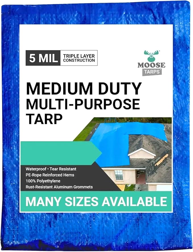8' x 10' Waterproof Tarp | Medium Duty Reversible Blue/Silver | Multipurpose Indoor/Outdoor Use: Tents, Wood Cover, Furniture, Car, Boat, Pool, & More | Tear Resistant