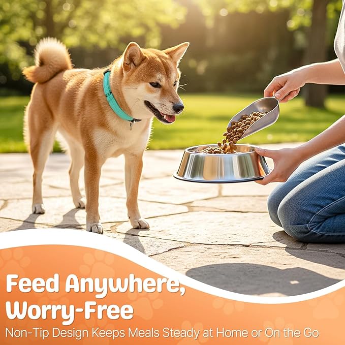 Flexzion Stainless Steel Dog Bowl (2.2 Cup/18oz) - Non Spill Water and Food Stainless Steel Pet Bowls Dish Feeder with Anti-Slip Rubber Base for Medium Sized Dog, Cat, Rabbit, and More
