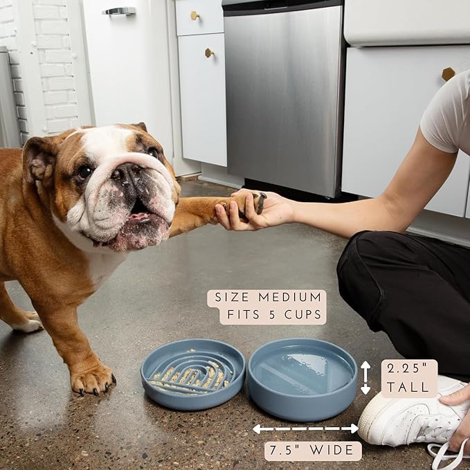 Should We Go? Dog Water Bowl - The Perfect Dish No-Spill, Less Mess Non-Tippable Water & Food Bowl, Pure Silicone with Suction Cup Fits 5 Cups 7.5" Across x 2.25" Tall Ideal for All Pets, Medium-Ocean