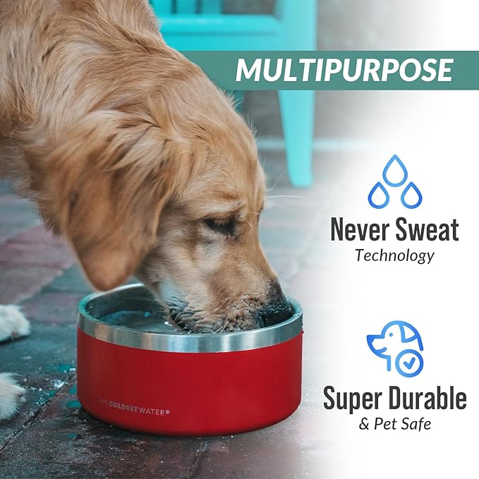 Coldest Dog Bowl - Anti Rust Metal, Non Slip, 3 Layers Insulated Stainless Steel Dog Bowls - Spill Proof & Heavy Duty - Water Bowl for Dogs, Cats, Dish Washer Safe (21 oz, Polished Stainless Steel)