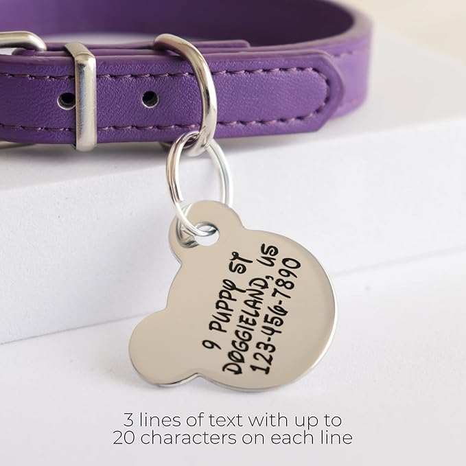 Custom Pet ID Tag, Personalized Engraved Stainless Steel Boy & Girl Pets Identification Tags, Emergency Lost Dog Tags, Cute Puppies Tag with Phone Number