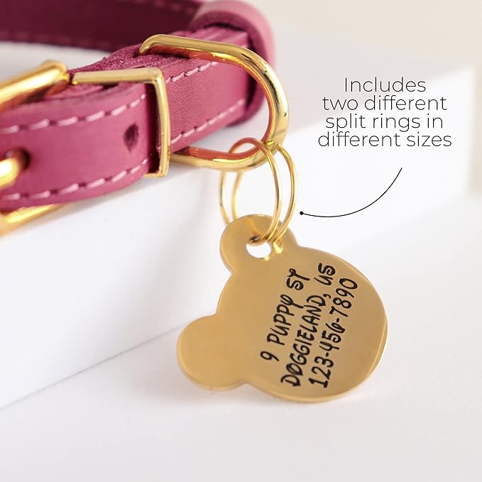 Custom Pet ID Tag, Personalized Engraved Stainless Steel Boy & Girl Pets Identification Tags, Emergency Lost Dog Tags, Cute Puppies Tag with Phone Number