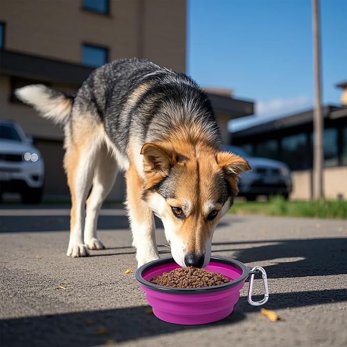 Dog Bowl Pet Collapsible Bowls, 2 Pack Collapsible Dog Water Bowls for Cats Dogs, Portable Pet Feeding Watering Dish for Walking Parking Traveling with 2 Carabiners (Pink+Purple, Medium)