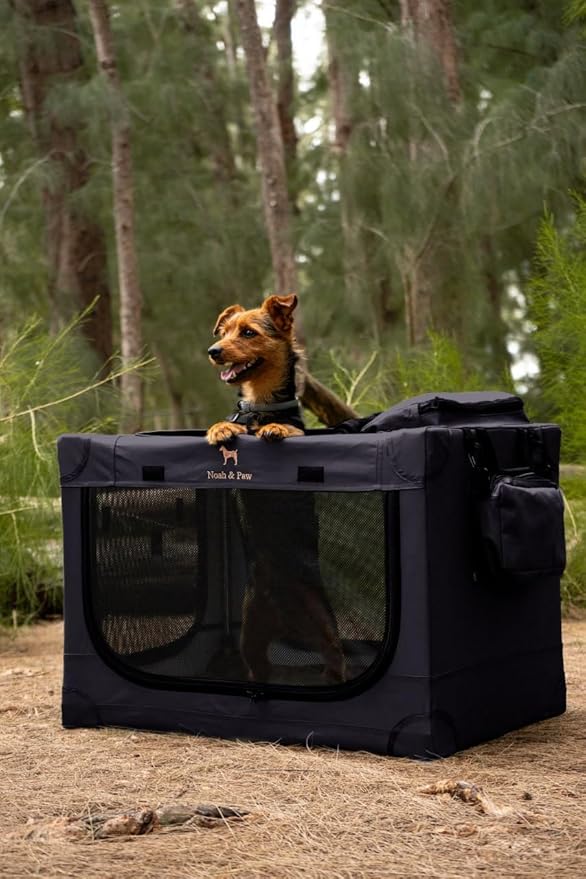 Noah & Paw Collapsible Dog Crate 30 Inches, Large Dog Crate for Large Medium Breeds, Travel Kennel for Car, Including Pet Mat for Pet Cage, 2 Storage Pockets, Handbag, 10mm Locking Zipper 30*21*21