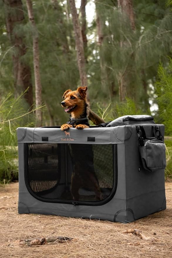Noah & Paw Collapsible Dog Crate 36 Inches, XL Dog Crate for XL, Large Medium Breed, Travel Kennel for Car, Includes Pet Mat for Pet Cage, 2 Storage Pockets, Handbag, 10mm Locking Zippers 36*25*23