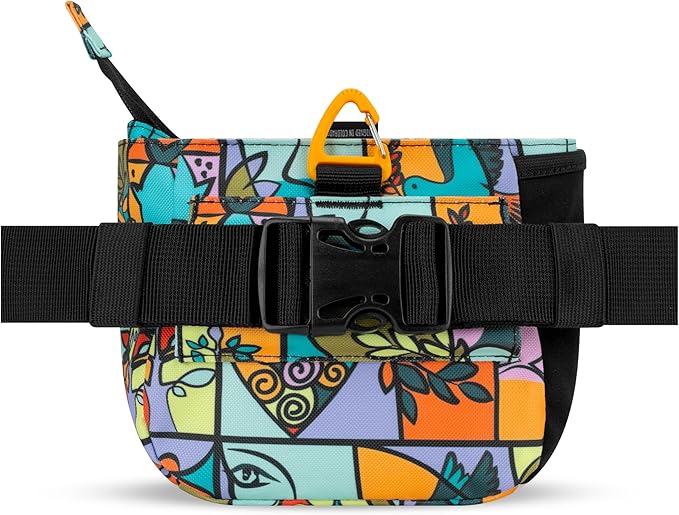 OllyDog Backcountry Day Bag | Hands-Free Dog Training Treat Pouch | Fanny/Hip Pack with Zipper Closure & Built-in Poop Bag Dispenser | Removable Waist Clip (Cloud9)