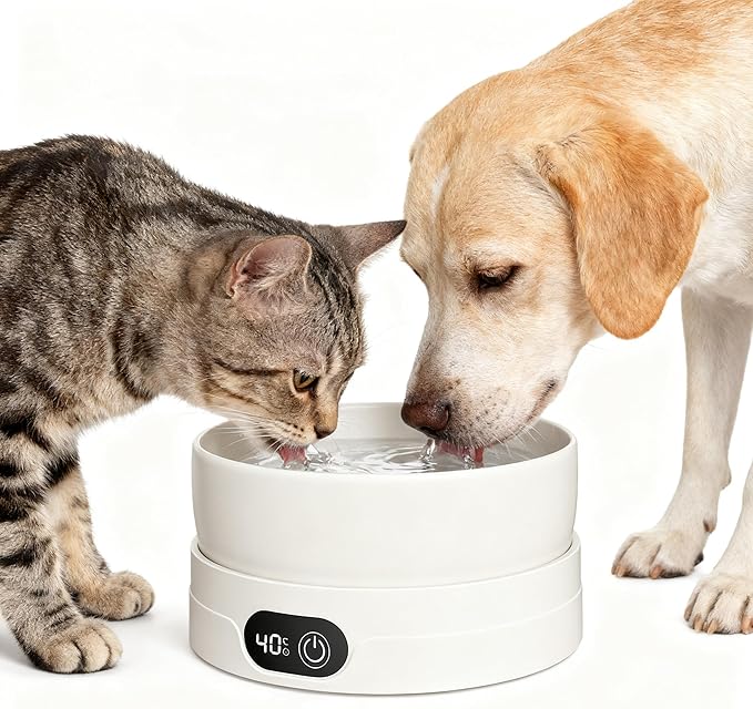 Electric Thermostatic Heated Water Bowl for Pet, Heated Cats, 4 Temperature Settings Drinking Plate for Dogs Cats and Small Animals Thermal Water, Removeable for Winter