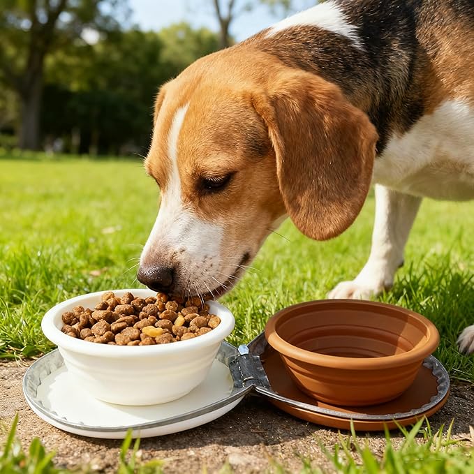 Collapsible Dog Bowls,2-in-1 Pet Bowl, Cat Bowl,Portable Pet Bowl, Suitable for Travel, Camping, and Hiking (Brown and Light Yellow)