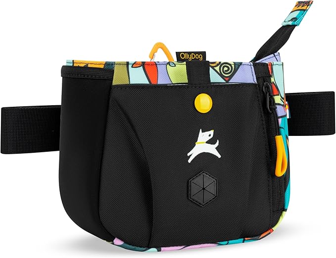 OllyDog Backcountry Day Bag | Hands-Free Dog Training Treat Pouch | Fanny/Hip Pack with Zipper Closure & Built-in Poop Bag Dispenser | Removable Waist Clip (Cloud9)