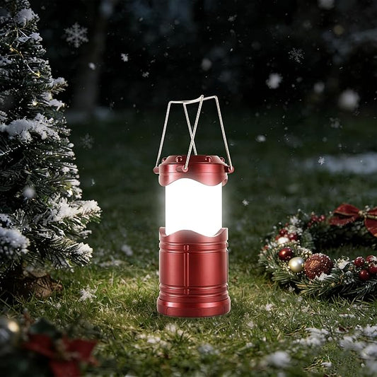 Lichamp LED Camping Lantern, 4 Pack Battery Powered Flashlight for Power Outages, Portable Collapsible Hanging Light Essential for Home, Outdoor, Emergency Lamp Survival Kit Gear for Hurricane,B4BD