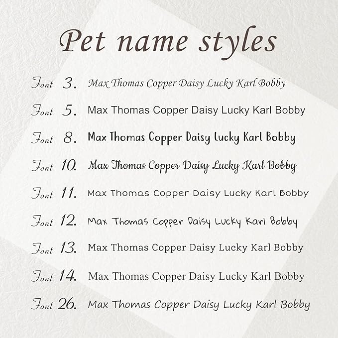 Anavia Slide On Silent Pet ID Tags, S/M/L/XL Personalized Black Stainless Steel Colored Silicone Cat Dog Name Tag, Customized Engraved Nameplate, Quiet Chew-Proof Pet Collar Tag (Blue, X-Large)