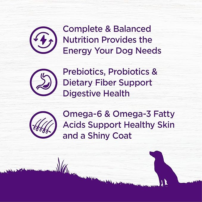 Wellness Complete Health Dry Dog Food, Wholesome Grains, Natural, Chicken & Oatmeal Recipe, (26-Pound Bag)