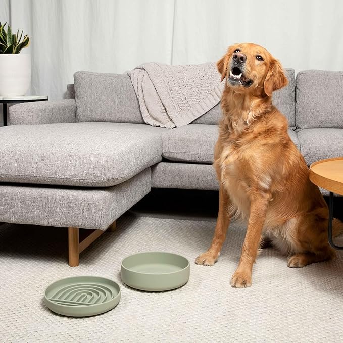 Should We Go? Dog Water Bowl - The Perfect Dish No-Spill Less Mess Non-Tippable Water & Food Bowl, Pure Silicone with Suction Cup Fits 5 Cups 7.5" Across x 2.25" Tall Ideal for All Pets, Medium-Spruce