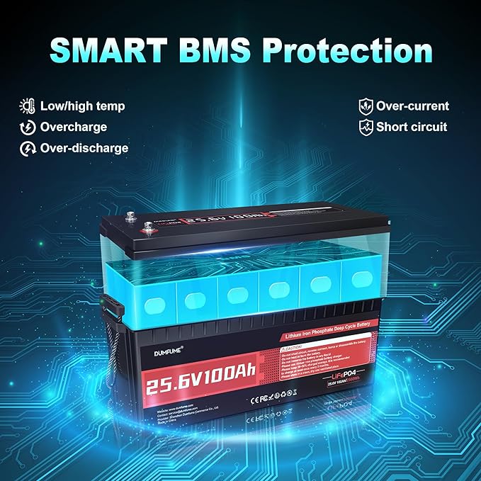 24V 100Ah LiFePO4 Lithium Battery,4000+ Cycles & 100% DOD,Built-in 100A BMS,25.6V High Energy Density,Perfect for RV, Solar, Off-Grid, Camping, Home Backup