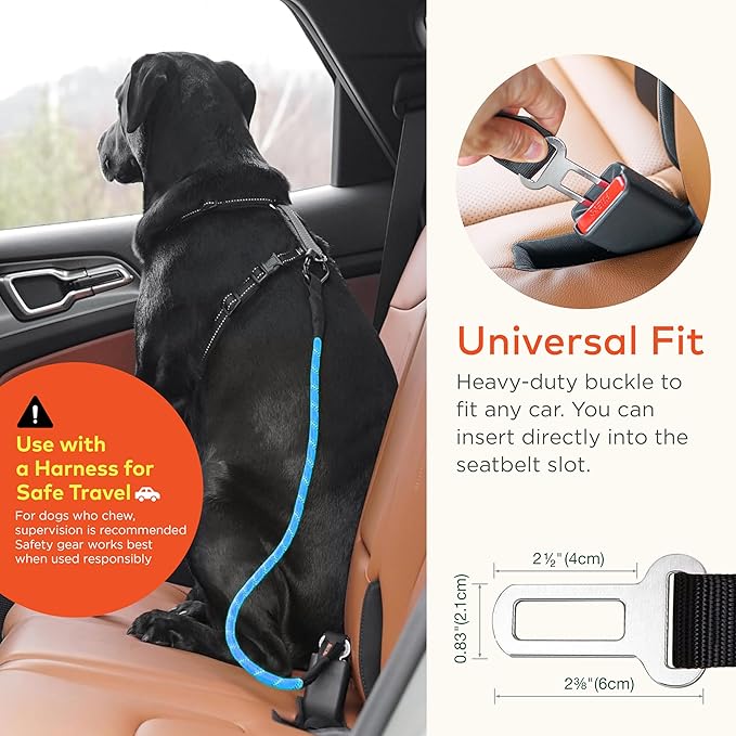 Dog Travel Safety Bundle – Pet First Aid Kit & Car Seat Belt for Safe Adventures, Camping, Hiking, and Road Trips (Trail Blue 360°)
