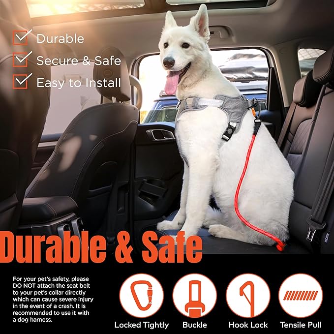 Dog Travel Safety Bundle – Pet First Aid Kit & Car Seat Belt for Safe Adventures, Camping, Hiking, and Road Trips (Canyon Red 360°)