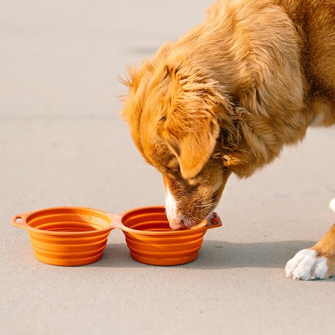 Pup Culture Dual Collapsible Dog Bowls | Silicone Travel Water Bowl for Dogs | Food Grade, No Plastic Rim, Portable Dog Bowl for Food and Water - Easy to Clean | BPA Free and Safe for Your Pup-Pink