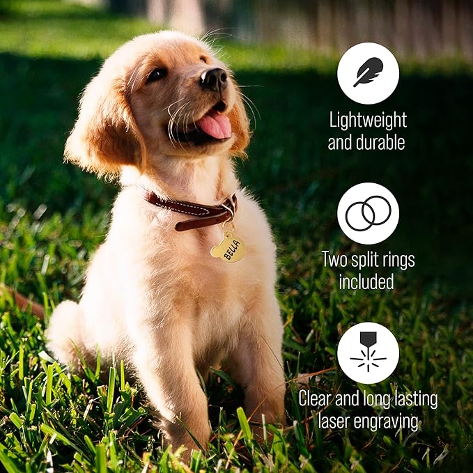 Custom Pet ID Tag, Personalized Engraved Stainless Steel Boy & Girl Pets Identification Tags, Emergency Lost Dog Tags, Cute Puppies Tag with Phone Number