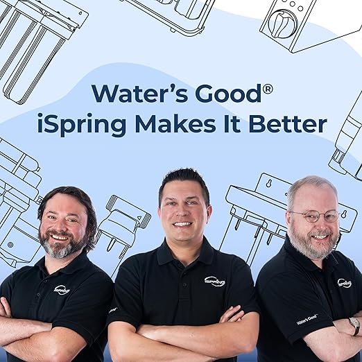 iSpring Anti-Scale Whole House Water Filter System w/Sediment, Polyphosphate, and Carbon Block Water Filters, 3-Stage Water Descaler and Water Filter, Model: WGB32B-DS