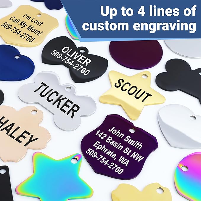 GoTags Stainless Steel Pet ID Tags, Personalized Dog Tags and Cat Tags, up to 8 Lines of Custom Text, Engraved on Both Sides, in Bone, Round, Heart, Bowtie and More (Bow Tie, Small (Pack of 1))