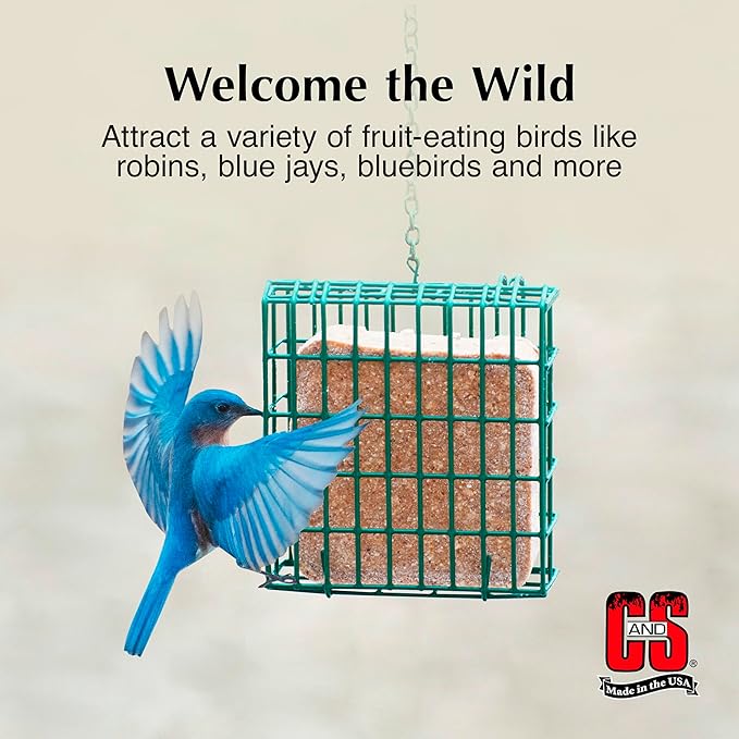 C&S Berry Suet Treat, Wild Bird Food for Robins, Blue Jays, Bluebirds, Tanagers, Thrushes and More, 8 Pack