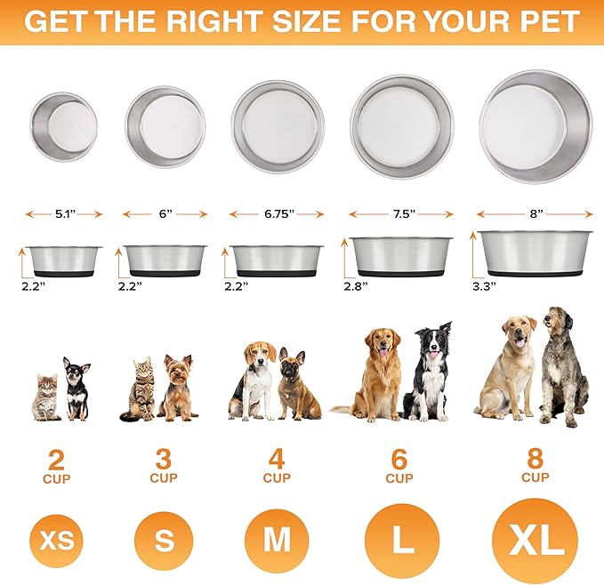 Neater Pet Brands Stainless Steel Dog Bowls with Non-Slip Rubber Bottom – 2 Cup (16 oz), Black - Set of 2 Heavy Duty Metal Dog Bowls, Dishwasher Safe, Food or Water Bowl, Ideal for Small Dogs & Cats
