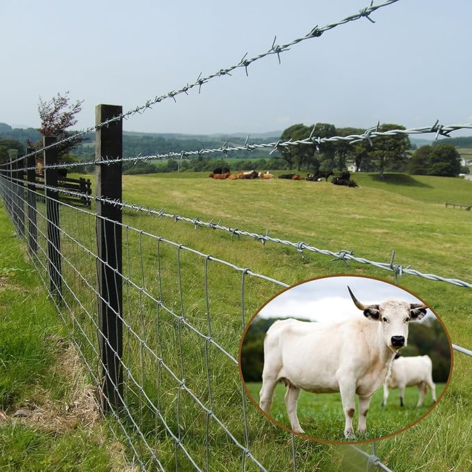 Farm Fence 6ft x 164ft Heavy Zinc Coating Cattle Deer Goat Fence,Galvanized Field Wire Fencing,Hog Wire Fencing for Yard Livestock & Animals Protection