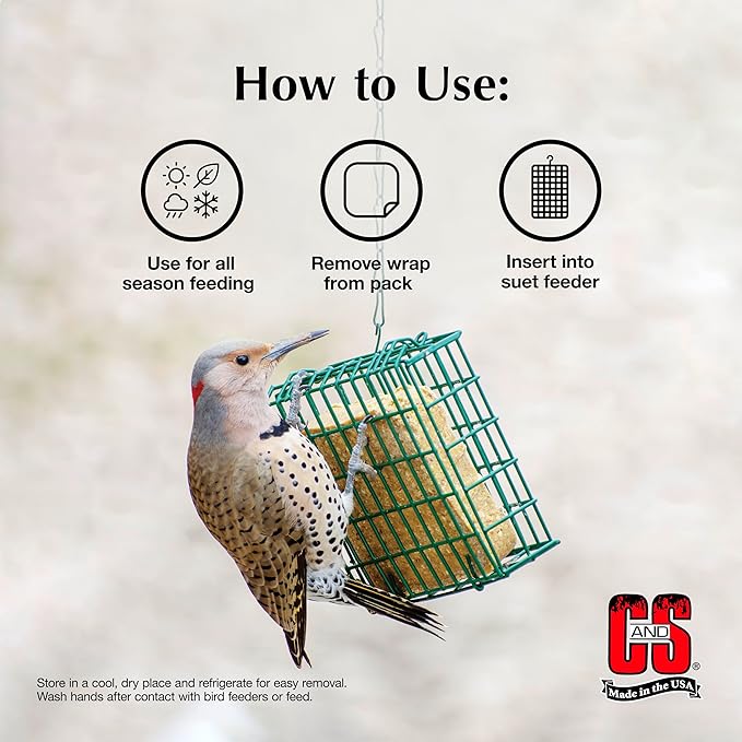 C&S Woodpecker Suet Treat, Outdoor Wild Bird Food for Woodpeckers, Flickers and More, 8 Pack