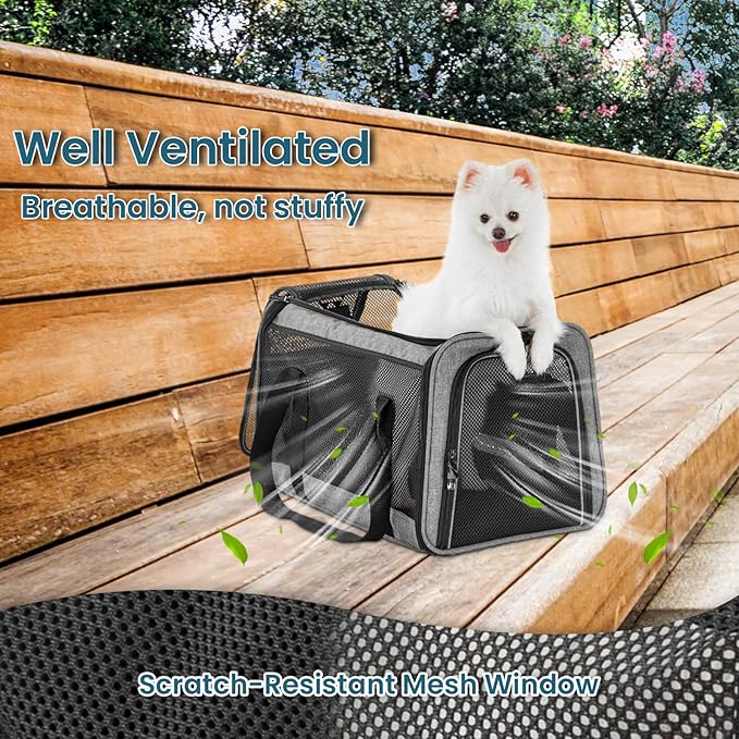 Petsfit Cat Carrier Small Dog Carrier, Lightweight Portable Soft Pet Carrier for Large and Medium Cats, 5-Sided Breathable Mesh, Escape Proof and Auto-Safe, Sturdy Structure