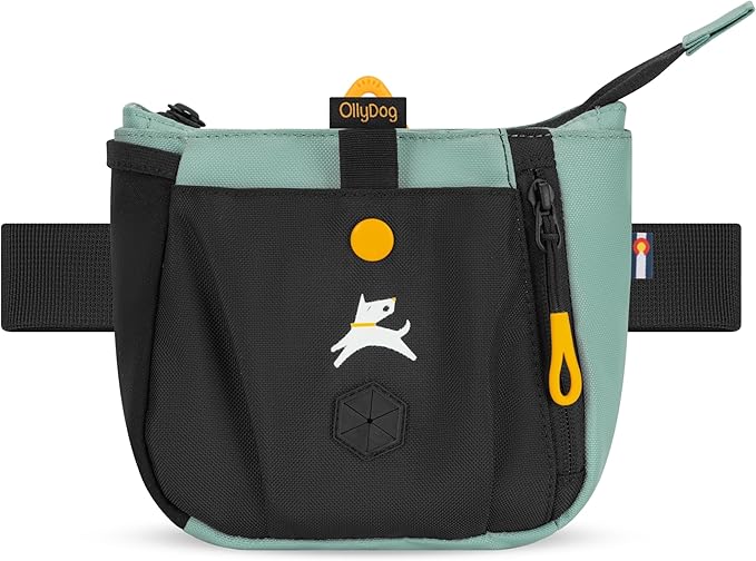 OllyDog Backcountry Day Bag | Hands-Free Dog Training Treat Pouch | Fanny/Hip Pack with Zipper Closure & Built-in Poop Bag Dispenser | Removable Waist Clip (Surf)