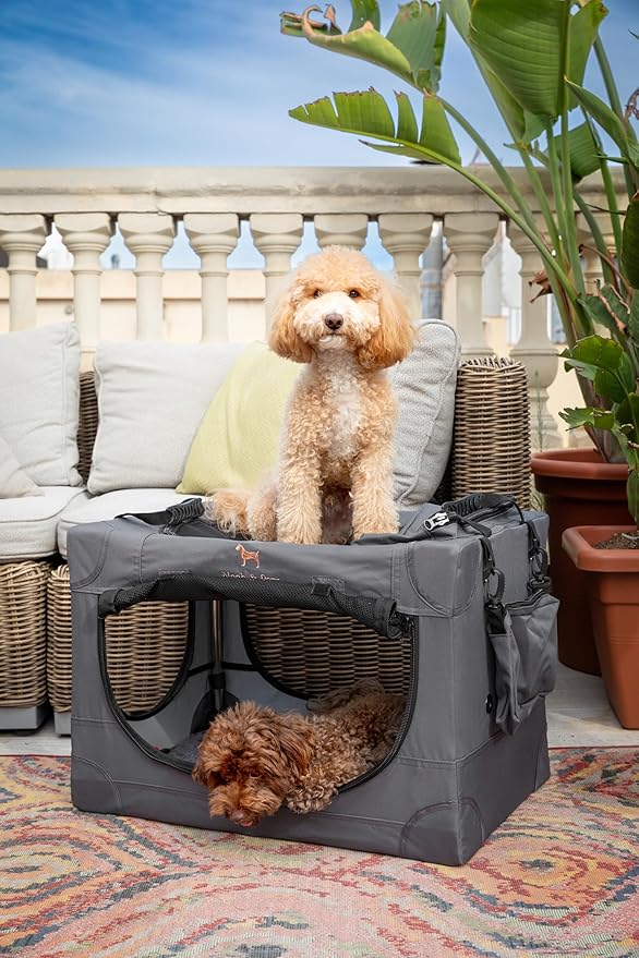 Noah & Paw Collapsible Dog Crate 26 Inch, Small Dog Crate for Small Medium Breeds, Travel Kennel for Car, Including Pet Mat for Pet Cage, 2 Storage Pockets, Handbag, 10mm Locking Zipper 26 * 17 * 17