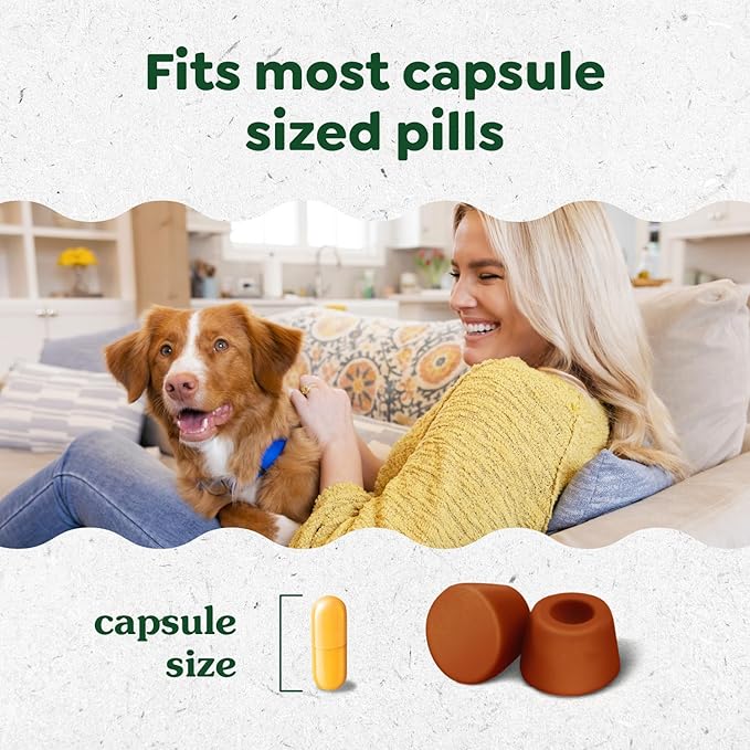 Greenies Pill Pockets for Dogs Large Size, Soft Dog Treats, 15.8 oz. Pouch Variety Pack, Two Flavors (60 Treats)