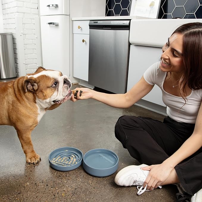 Should We Go? Dog Water Bowl - The Perfect Dish No-Spill, Less Mess Non-Tippable Water & Food Bowl, Pure Silicone with Suction Cup Fits 5 Cups 7.5" Across x 2.25" Tall, Ideal for All Pets, Medium-Sage