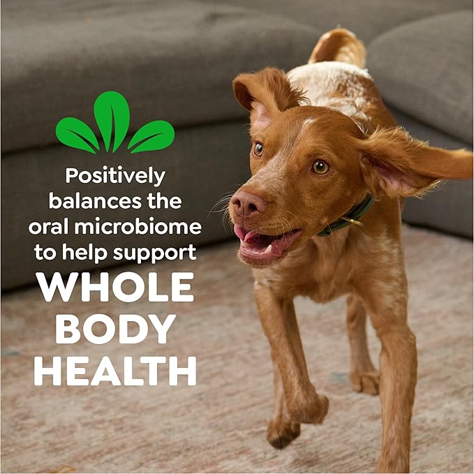 Greenies Veterinarian-Recommended Adult Natural Dental Dog Treats Regular Size, Original Flavor, 6 oz. Pack, 6 Count