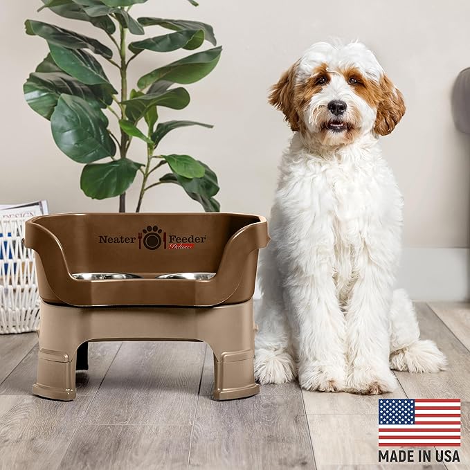 Neater Feeder Deluxe Mess Proof Dog Bowls Elevated Medium Sized Dogs (19-40 lbs) Made in USA, No Spill Raised Dog Food Bowl Stand w/Leg Extension, Stainless Steel Food and Water Bowl Set, Bronze