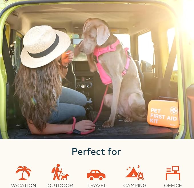 Dog Travel Safety Bundle – Pet First Aid Kit & Car Seat Belt for Safe Adventures, Camping, Hiking, and Road Trips (Trail Blue 360°)