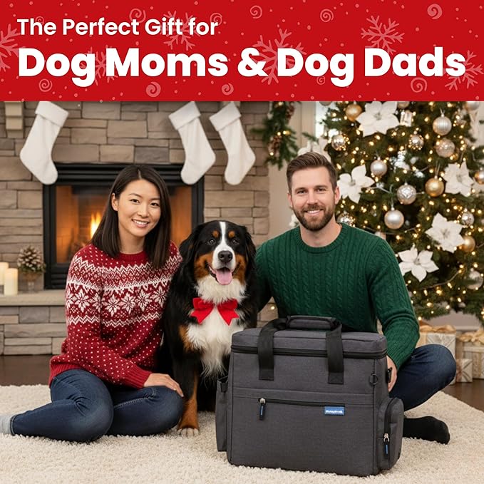 The Original Doggy Bag™- Dog Travel Bag for Supplies - Ultimate Gift for Dog Moms & Dads, Doggy Lovers & Pet Owners for Christmas- Includes 2 BPA-Free Travel Bowls and 2 Food Containers: Charcoal