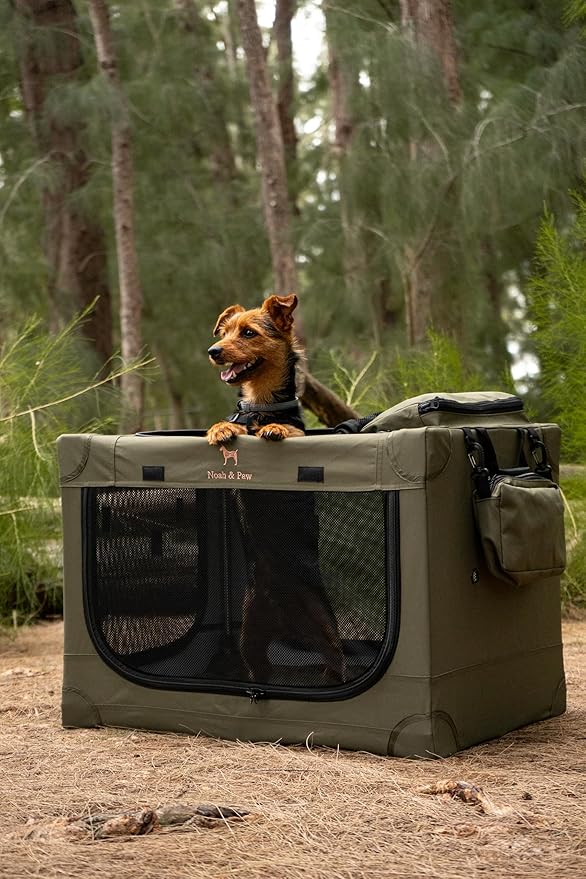 Noah & Paw Collapsible Dog Crate 26 Inch, Small Dog Crate for Small Medium Breeds, Travel Kennel for Car, Including Pet Mat for Pet Cage, 2 Storage Pockets, Handbag, 10mm Locking Zipper 26 * 17 * 17
