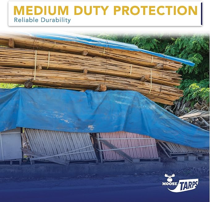 40' x 60' Waterproof Tarp | Medium Duty Reversible Blue/Silver | Multipurpose Indoor/Outdoor Use: Tents, Wood Cover, Furniture, Car, Boat, Pool, & More | Tear Resistant