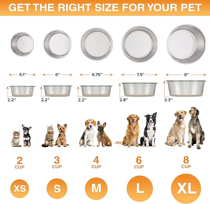 Neater Pet Brands Stainless Steel Dog Bowls with Non-Slip Rubber Bottom – 2 Cup (16 oz), Tan - Set of 2 Heavy Duty Metal Dog Bowls, Dishwasher Safe, Food or Water Bowl, Ideal for Small Dogs & Cats