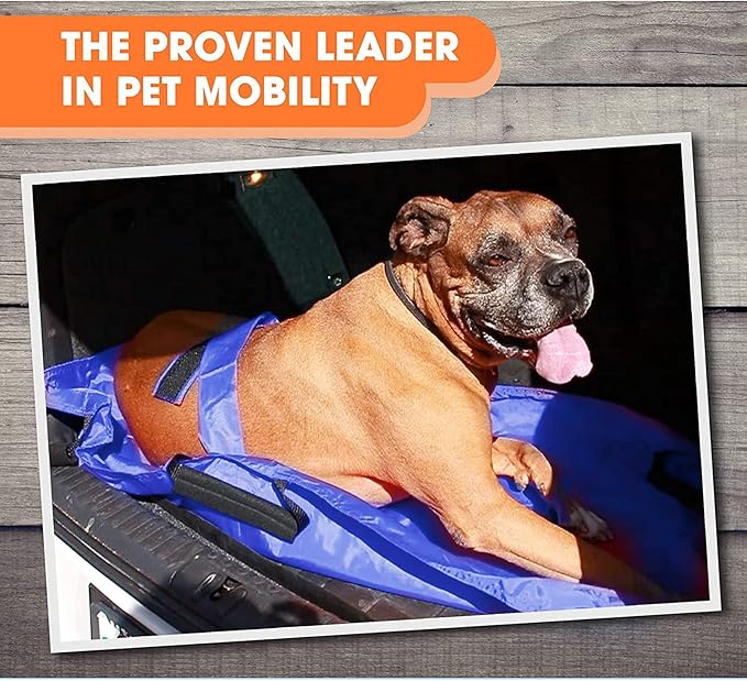 Transport Stretcher for Dogs, Pet Folding Stretcher Emergency Animal Carrier with Safety Strap Max 132 Pound Weight Animal Stretcher for Dogs (Blue)