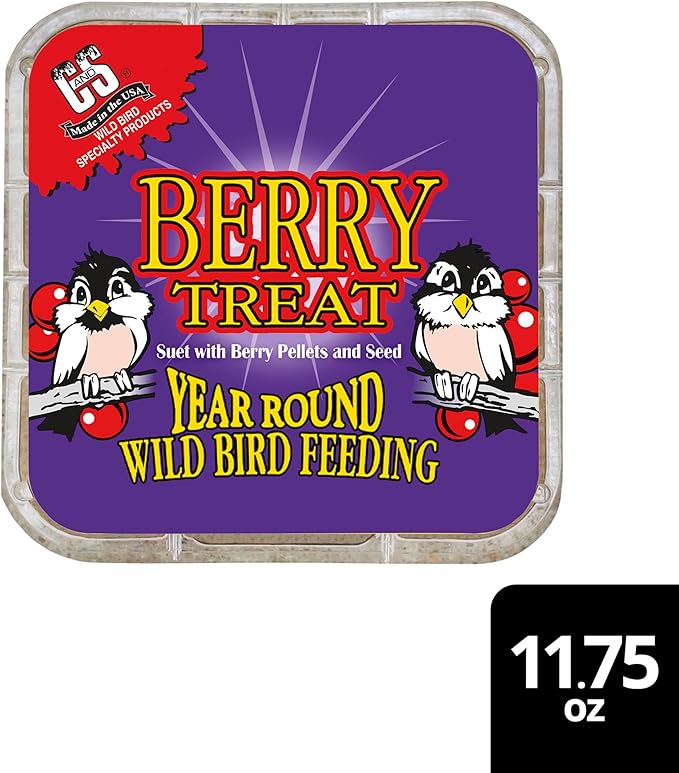 C&S Berry Suet Treat, Wild Bird Food for Robins, Blue Jays, Bluebirds, Tanagers, Thrushes and More, 8 Pack