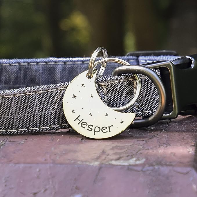 Anavia Small Size Dog Cat ID Tags, Small/XS Personalized Color Plated Stainless Steel Puppy Kitten Name Tags, Customized Engraved Nameplate Pet Collar Tag (Purple, Moon)