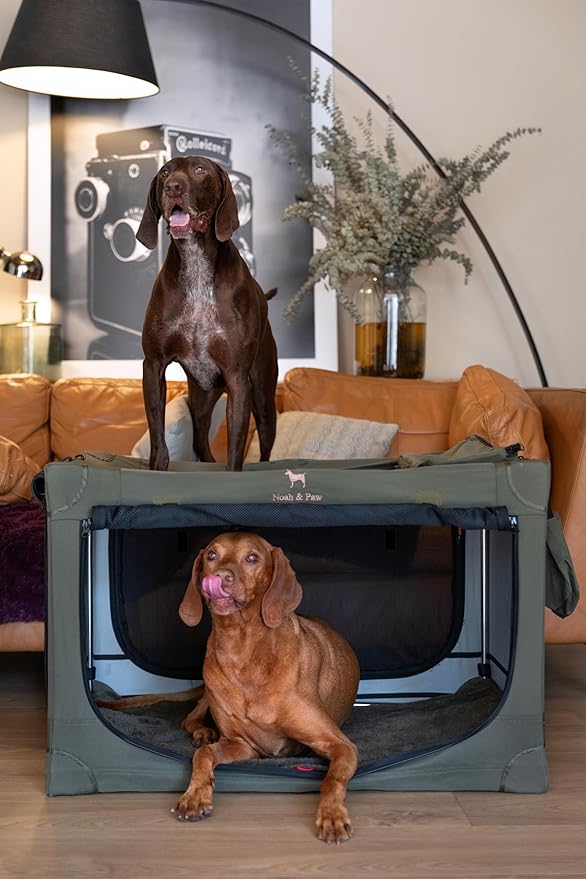 Noah & Paw Collapsible Dog Crate 36 Inches, XL Dog Crate for XL, Large Medium Breed, Travel Kennel for Car, Includes Pet Mat for Pet Cage, 2 Storage Pockets, Handbag, 10mm Locking Zippers 36*25*23