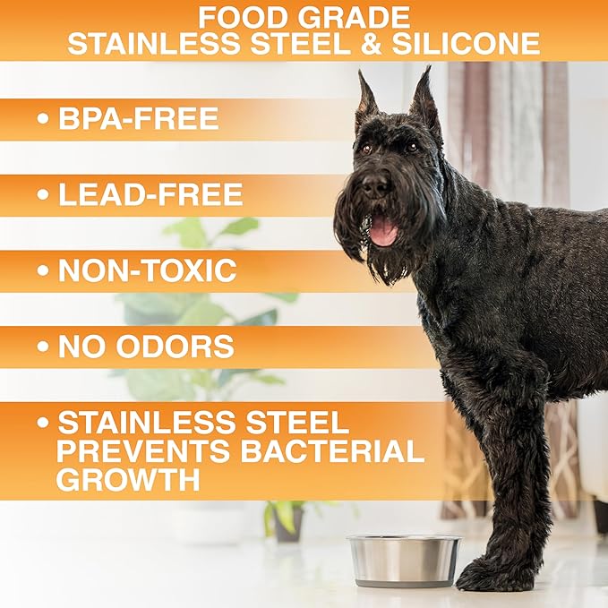 Neater Pet Brands Stainless Steel Dog Bowls with Non-Slip Rubber Bottom – Set of 2, 4 Cup (32 oz), Gray - Heavy Duty Metal Dog Bowl, Dishwasher Safe, Food or Water Bowl, Ideal for Medium Dogs